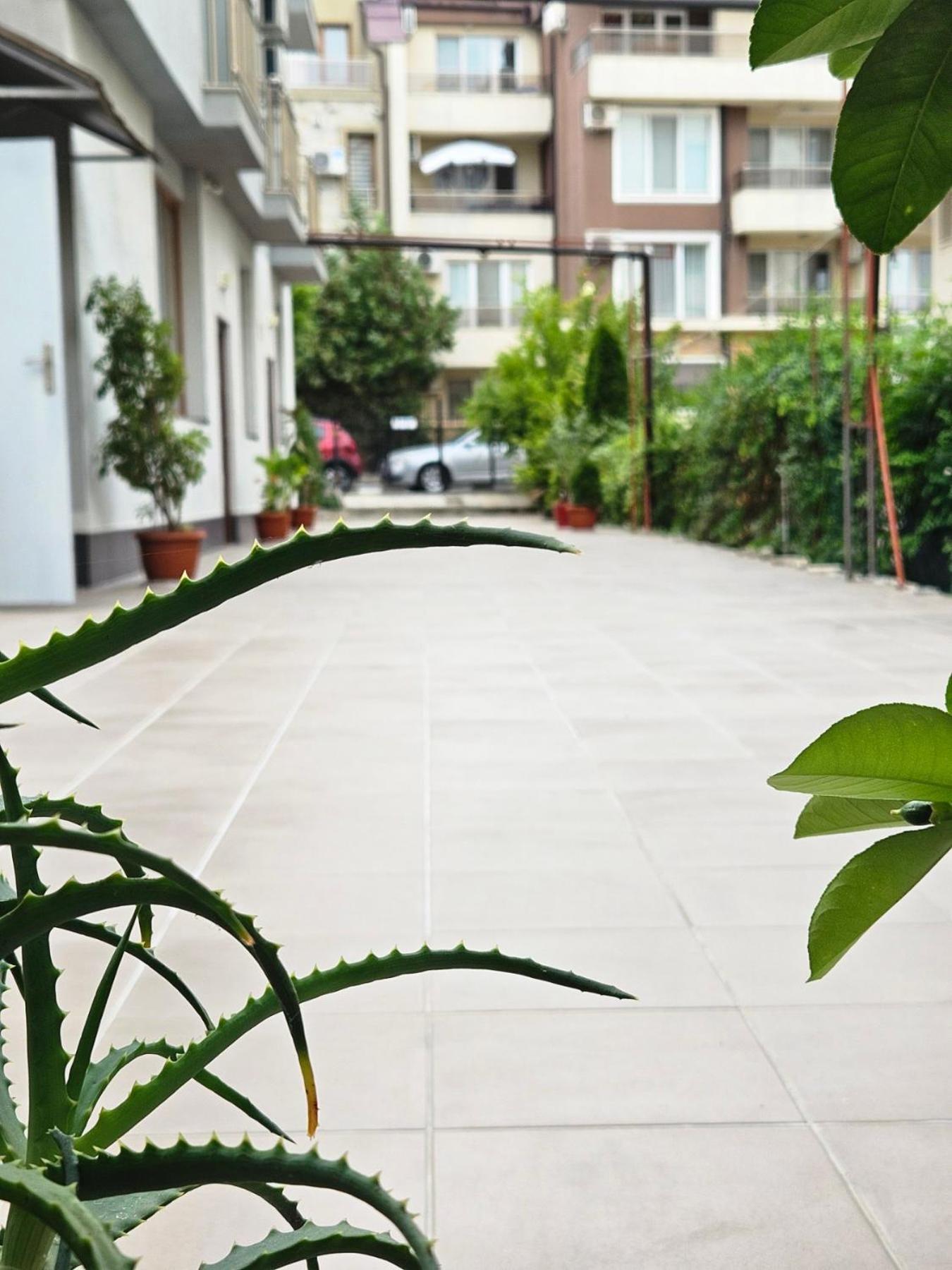 Guest House Petrovi Rawda Exterior foto